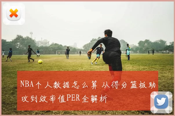 NBA个人数据怎么算 从得分篮板助攻到效率值PER全解析