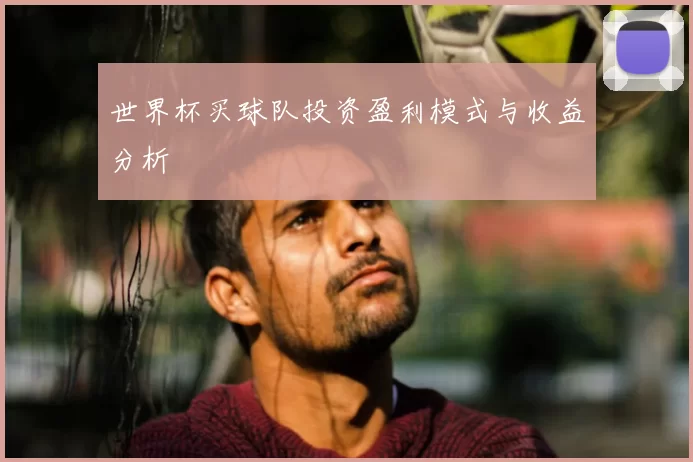 世界杯买球队投资盈利模式与收益分析